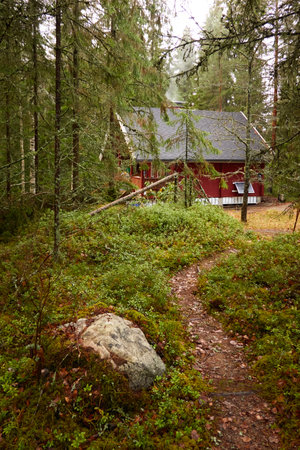 Pathway to the wooden house. Evergreen forest. Pine and spruce trees. Autumn landscape. Finland. Scandinavia. Pure nature, environment, weekend getaway, camping, eco tourism, fresh airの写真素材