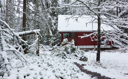 Traditional wooden house colored with falu red dye. First snow in autumn. Early winter. Evergreen forest, mighty pine and spruce trees. Finland. Nature, ecology, eco tourismの写真素材