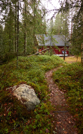 Pathway to the wooden house. Evergreen forest. Pine and spruce trees. Autumn landscape. Finland. Scandinavia. Pure nature, environment, weekend getaway, camping, eco tourism, fresh airの写真素材