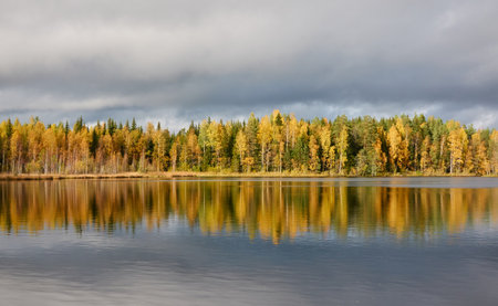 Panoramic view of the forest lake shore on a sunny day. Pine, spruce, birch trees. Reflections on water. Autumn landscape. Finland, Finnish nature. Ecology, fresh air, ecotourism themesの写真素材
