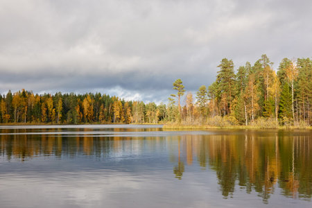 Panoramic view of the forest lake shore on a sunny day. Pine, spruce, birch trees. Reflections on water. Autumn landscape. Finland, Finnish nature. Ecology, fresh air, ecotourism themesの写真素材
