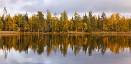 Panoramic view of the forest lake shore on a sunny day. Pine, spruce, birch trees. Reflections on water. Autumn landscape. Finland, Finnish nature. Ecology, fresh air, ecotourism themesの写真素材
