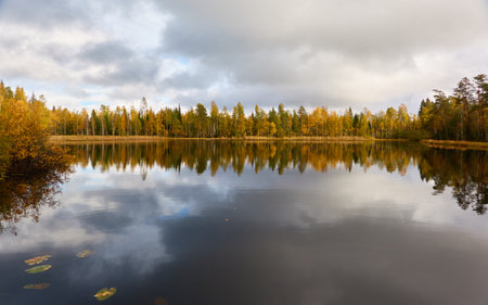 Panoramic view of the forest lake shore on a sunny day. Pine, spruce, birch trees. Reflections on water. Autumn landscape. Finland, Finnish nature. Ecology, fresh air, ecotourism themesの写真素材