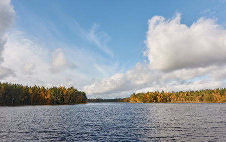 Panoramic view of the forest lakeshore on a sunny day. Autumn landscape. Finland, Finnish nature. Ecology, fresh air, ecotourism themesの写真素材