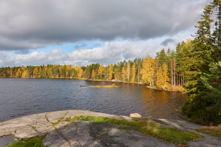 Panoramic view of the rocky forest lake shore on a sunny day. Autumn landscape. Finland, Finnish nature. Ecology, fresh air, ecotourism themesの写真素材