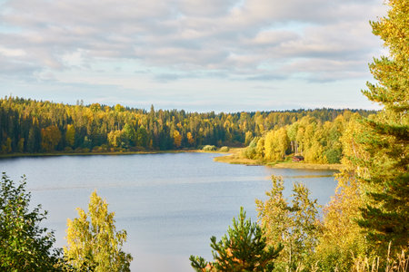 Panoramic aerial view of the forest lake shore on a sunny day. Autumn landscape. Finland, Finnish nature. Ecology, fresh air, ecotourism themesの写真素材