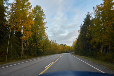 Asphalt road (highway) through the forest. Concept autumn landscape. Transportation, trucking, logistics, freedom, travel, tourism, wanderlust, the way forward themesの写真素材