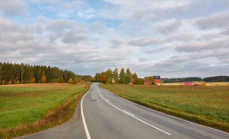 Asphalt road (highway) through the field and farmland. Autumn landscape. Finland. Transportation, remote places, weekend getaway, road trip themesの写真素材