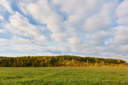 Forest meadow on a sunny day. Pure sunlight, sunshine, glowing clouds. Finland. Autumn landscape. Rural scene. Nature, seasons, environment, ecology themesの写真素材