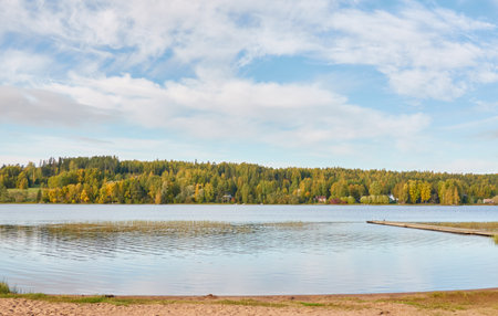 Panoramic view of the forest lake shore on a sunny day. Autumn landscape. Finland, Finnish nature. Ecology, fresh air, ecotourism themesの写真素材