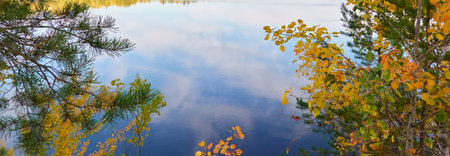 Birch tree, golden leaves, crystal clear water surface texture. Forest river or lake. Reflections of a clear blue sky. Sunshine, sunny day. Autumn landscape. Pure nature, environment conceptsの写真素材
