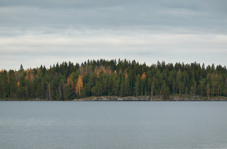 Forest lake (river) on a cloudy day. Reflections in water. Dramatic sky. Glowing clouds after the...