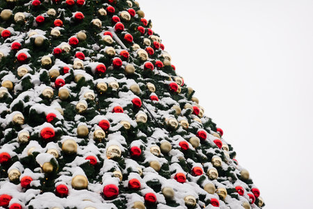 Christmas tree decorated with red and golden ornaments (decorative garland). Tall mighty spruce...