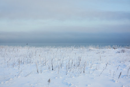 A view from the frozen snow-covered Baltic sea shore. Cloudy day, dramatic light, soft sunlight. Ice, snow. Fickle weather, blizzard. Winter tourism, global warming, climate change, ecology themesの写真素材