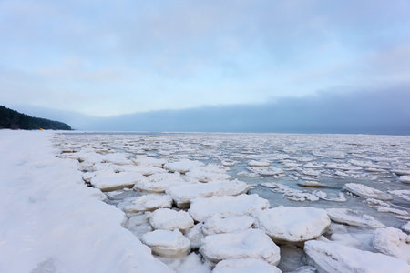 A view from the frozen snow-covered Baltic sea shore. evergreen forest. cracked ice. cloudy day. Fickle weather, snowstorm, blizzard. Winter tourism, global warming, climate change, ecology themesの写真素材