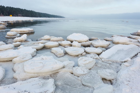 A view from the frozen snow-covered Baltic sea shore. evergreen forest. cracked ice. cloudy day. Fickle weather, snowstorm, blizzard. Winter tourism, global warming, climate change, ecology themesの写真素材