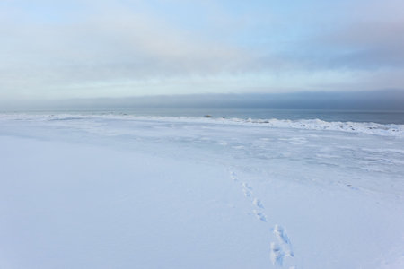 A view from the frozen snow-covered Baltic sea shore. Cloudy day, dramatic light, soft sunlight. Ice, snow. Fickle weather, blizzard. Winter tourism, global warming, climate change, ecology themesの写真素材