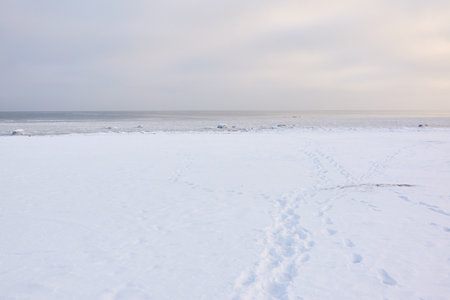 Baltic sea shore at sunrise. Human tracks in a fresh snow. winter landscape. Seasons, nature, environment, climate change, global warming themes. Expedition, exploring, hiking, vacation conceptsの写真素材