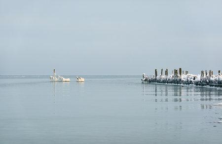 A view from the frozen snow-covered Baltic sea shore. Breakwaters, stones, pier. Cloudy day, Ice,...