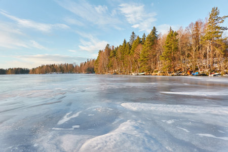 Panoramic view of the forest lake on a sunny winter day. evergreen trees. soft sunlight. Frozen water surface. Finland. Environment, nature, ecology, ecotourism, cold weather, climate change themesの写真素材