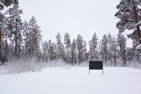 Mighty evergreen pine and spruce trees covered with snow and hoarfrost after a blizzard. Billboard or informational or warning sign close-up. winter forest landscape. local business conceptの写真素材