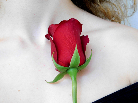 Small red rose on the shoulder of a red-haired girlの写真素材