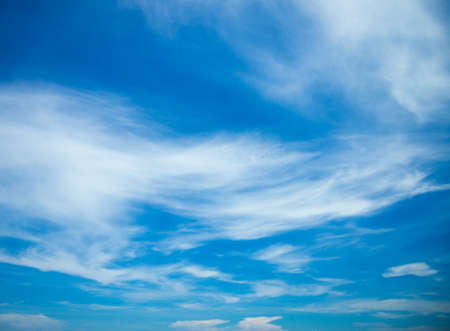Good fill in summer under the sky.