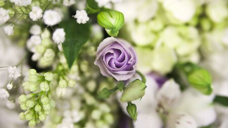 Developing flower bud and other white flowers in spring colors from top viewの写真素材