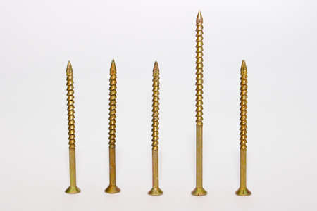 Five gold screws isolated on the white background means stand tall, be special and grow in your environmentの写真素材