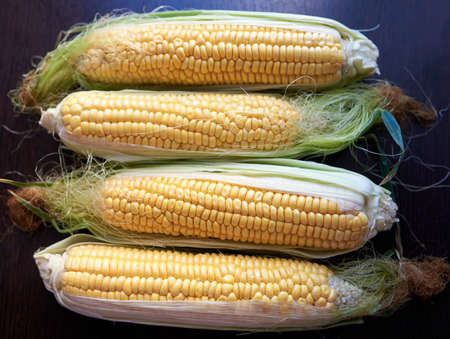 Four golden ears of corn with leaves. Low key. Top view