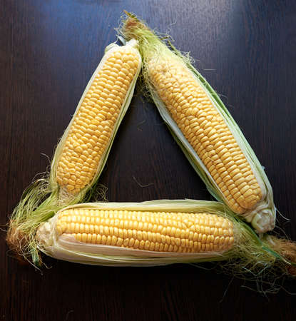 Four golden ears of corn with leaves. Low key. Top viewの写真素材