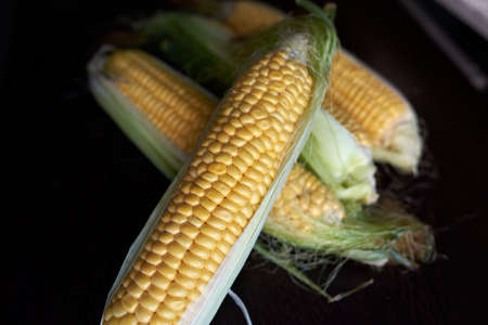 Four golden ears of corn with leaves. Low key. Top view