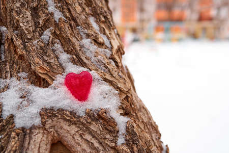 A red figurine of a heart made of ice lies in the snow on the bark of a tree. Unrequited love...