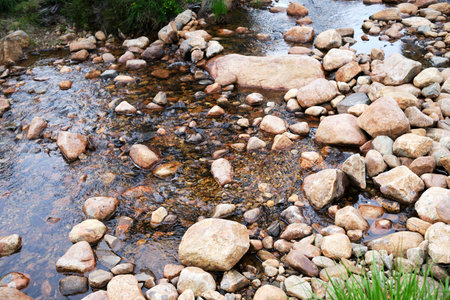 A serene stream flows gently over smooth, rounded rocks in a natural setting in Norway. The waters...