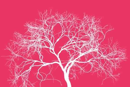 Leafless tree silhouette. Fine detailed realistic illustration. Isolated design element.のイラスト素材