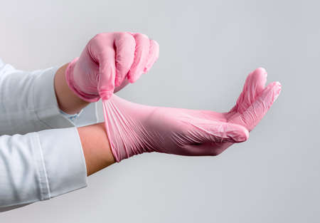 Female doctor's hands putting on pink sterile gloves isolated on gray backgroundの写真素材