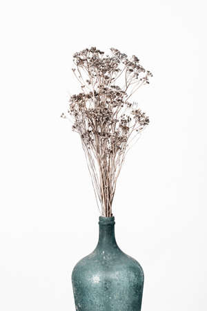 Closeup vase with dried flowers bouquet on white background. Modern home decorの写真素材