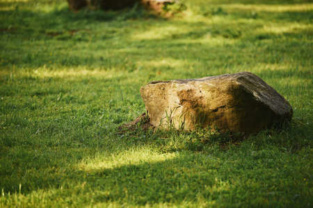 Big stone on green grass in sunlight day. Stone in park