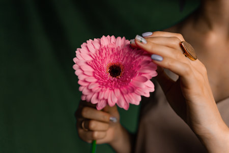 Cropped view of female hands holding a beautiful pink gerbera. Focus on flowers. Girl with delicate pink flower. romantic styleの写真素材