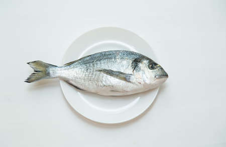 One raw fresh dorado fish in a plateの写真素材