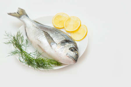 One raw fresh dorado fish in a plate with dill and lemon before cooking.の写真素材