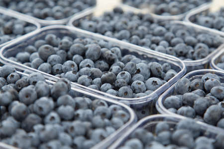 Fresh blueberries on the table at the farmer's market counter.の写真素材
