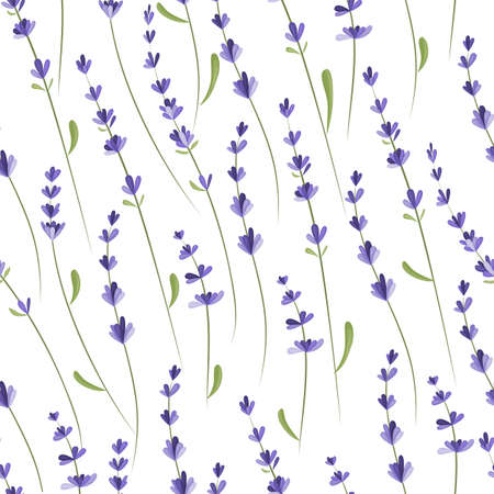 Seamless pattern with lavender branches. Background for packaging, textiles, printing products with a delicate floral pattern. Vector illustration.のイラスト素材