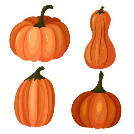 Vector set of four pumpkins in a cartoon style. A set for Halloween. Collection for Thanksgivingのイラスト素材