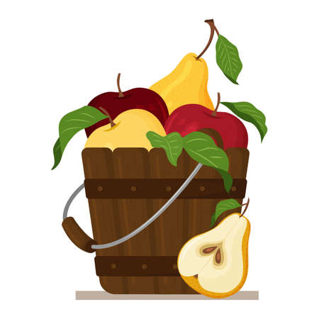 Vector illustration of a wooden fruit bucket isolated on a white background. apples and pearsのイラスト素材