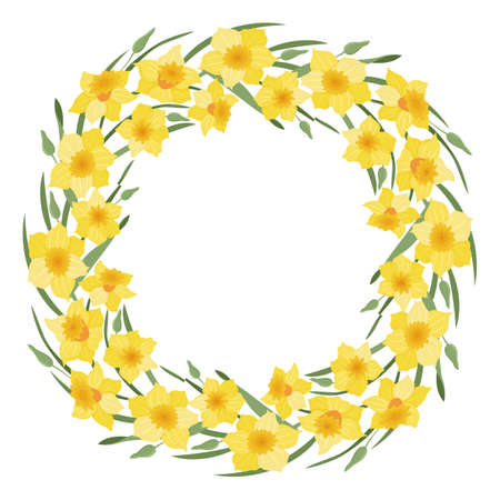 A wreath of narcissus flowers and leaves. Daffodils. Suitable for postcards and invitations. vectorのイラスト素材