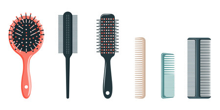Set of hair combs and brushes. Professional hairdresser tools. Vector isolated on white background.のイラスト素材