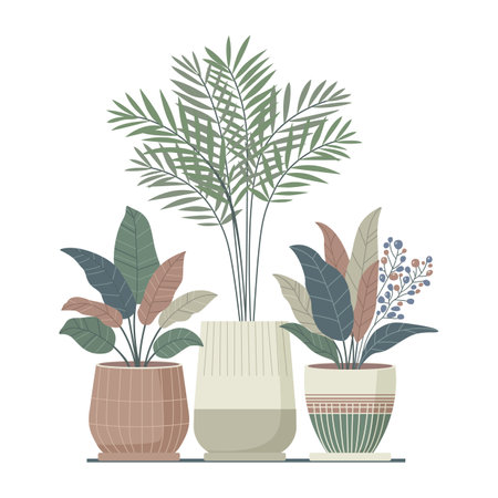 Set of three large indoor plants in flower pots. Vector. Illustration in boho style.のイラスト素材