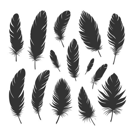 Black silhouettes of bird feathers of different shapes and sizes. Large set of different feathers. Concept of spirituality, freedom and creativity. Vector illustration on a white background.のイラスト素材