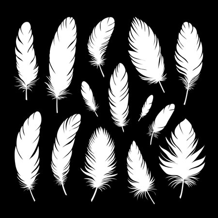 White silhouettes of bird feathers of different shapes and sizes. Large set of different feathers. Concept of spirituality, freedom and creativity. Vector illustration on a black background.のイラスト素材